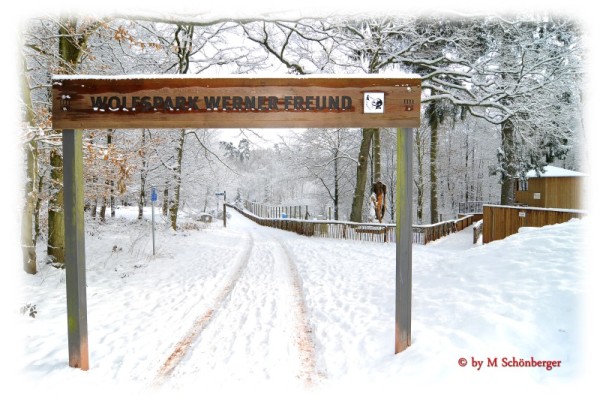 Eingang Wolfspark im Schnee